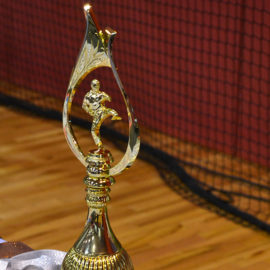 7. novembril võõrustas Sillamäe kõiki Taekwondo austajaid