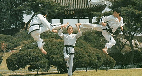 Taekwondo harjutajad hüppelöökidega