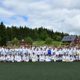 TKD laagrid
