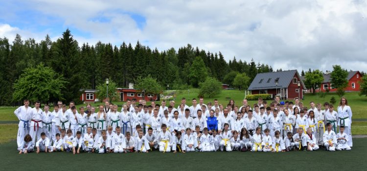 TKD laagrid TKD laagrid