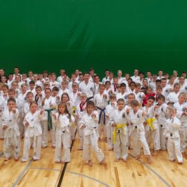 Taekwondo laager