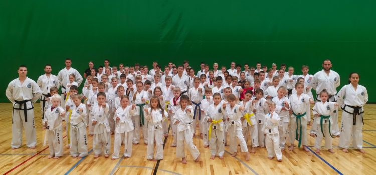 Taekwondo laager
