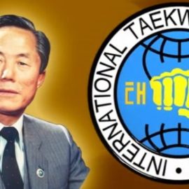 Taekwondo 65