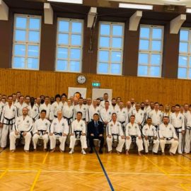 Taekwondo tehniline seminar