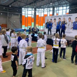 Võitluskunstide tervisepäev