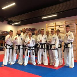 Taekwondo ITF tehniline seminar