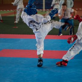 Eesti Karikas taekwondos