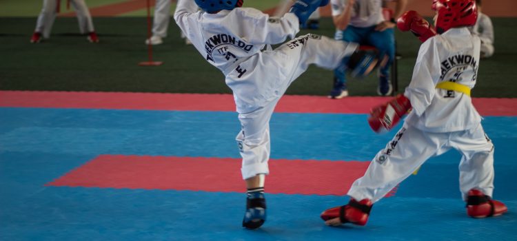 Eesti Karikas taekwondos Eesti Karikas taekwondos