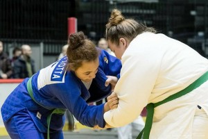 Martial Arts games