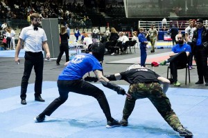 Martial Arts games