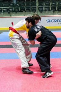 Martial Arts games