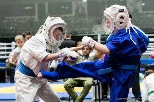 Martial Arts games