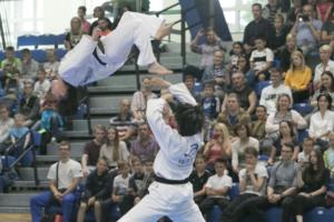 Taekwondo demonstratsioonesinemisied Kalevi spordihallis. Foto: Albert Truuväärt